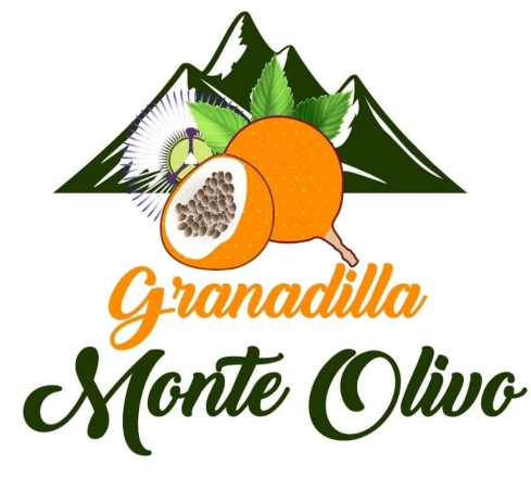 monte logo